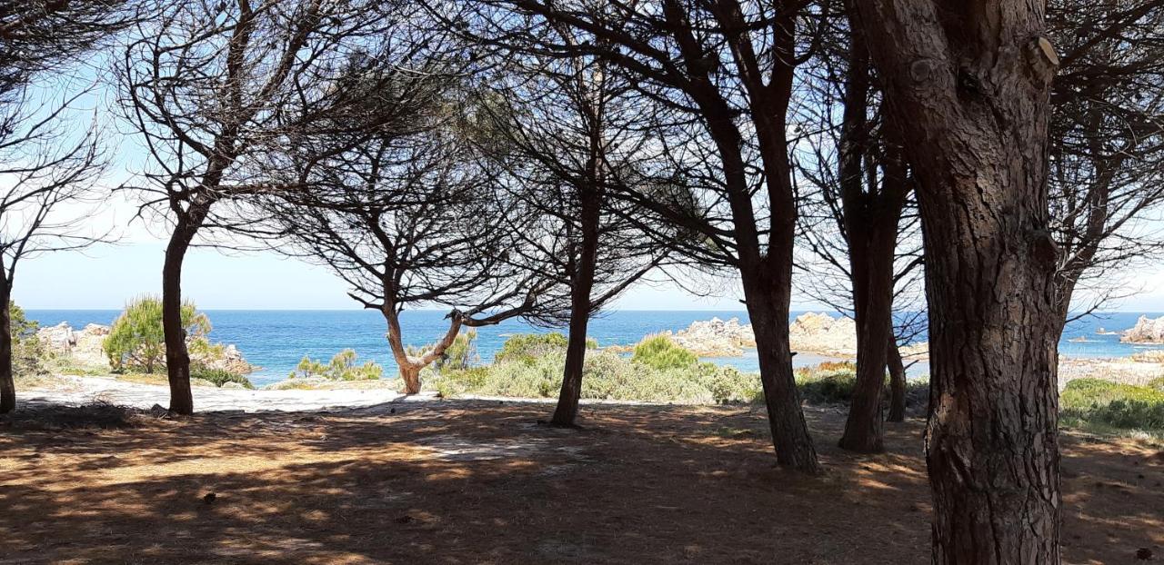 Mare Natura Confort... Il Mio Paradiso In Sardegna Ізола-Росса Екстер'єр фото